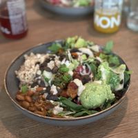   at Ginko - Greenhouse in Graz