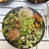   at Ginko - Greenhouse in Graz