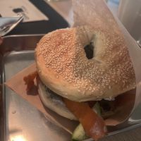   at Ginko - Greenhouse in Graz