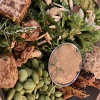 Buddha Bowl  at Ginko - Greenhouse in Graz