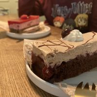   at Ginko - Greenhouse in Graz