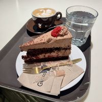   at Ginko - Greenhouse in Graz