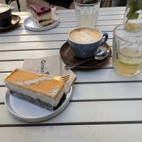  at Ginko - Greenhouse in Graz