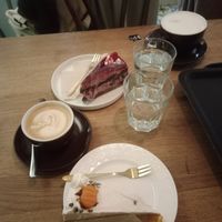  at Ginko - Greenhouse in Graz