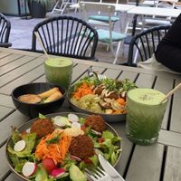   at Ginko - Greenhouse in Graz