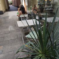  at Ginko - Greenhouse in Graz