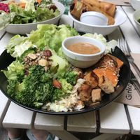 Buddha Bowl and spring rolls  at Ginko - Greenhouse in Graz