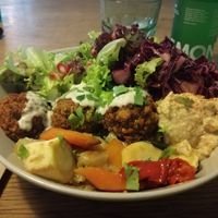 Falafel-Bowl at Ginko - Greenhouse in Graz