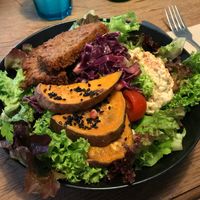 Falafel Salad Bowl at Ginko - Greenhouse in Graz