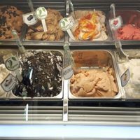 Vegan Flavours at Piero Gelateria Artigianale in Orbassano
