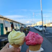  at Valdis in Reykjavik