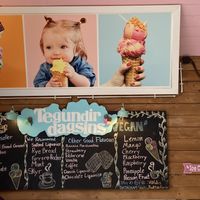   at Valdis in Reykjavik