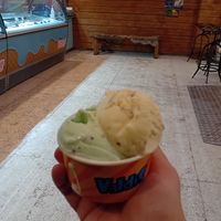  at Valdis in Reykjavik