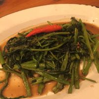 Vegan morning glory - small portion though  at Pai Toronto in Toronto