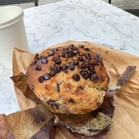 Chocolate chip muffin at Fruitive - Palmer Alley in Washington