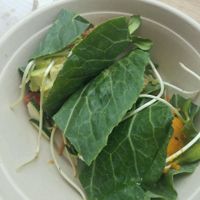 collard green wraps, one of each kind. Small serving, $14.95 at Fruitive - Palmer Alley in Washington