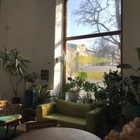   at Smaki Roslinne in Krakow