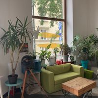   at Smaki Roslinne in Krakow