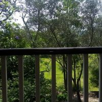 pretty outlook at Bonta Vera in Minmi