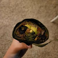 Vegan burrito at Burrito Amor in Tulum