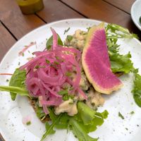 Cannelloni at SUE in Rotterdam