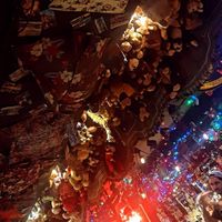  at Lucky Pig - Paradise Palms in Edinburgh