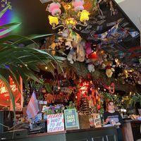   at Lucky Pig - Paradise Palms in Edinburgh