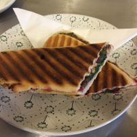 Vegan panini at Fox Cafe in Nottingham