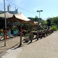 Outside under the covered area at Cafe De Ceuvel in Amsterdam