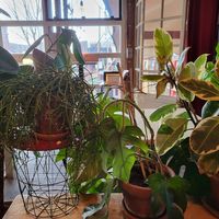 Interior at Cafe De Ceuvel in Amsterdam