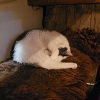  at Cafe De Ceuvel in Amsterdam