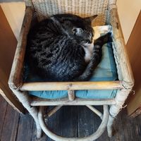  at Cafe De Ceuvel in Amsterdam