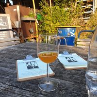 Lekkere kombucha at Cafe De Ceuvel in Amsterdam