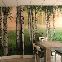 cool interior  at Hoezo in Leiden