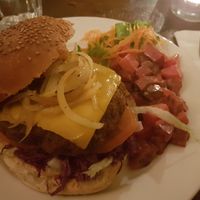 Vegan burger that tasted way too much like meat for my taste at Hoezo in Leiden