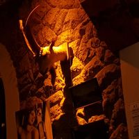 Disgusting at Drosophyla Bar in Sao Paulo