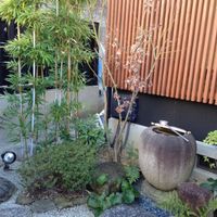 Entrance  at SinSinTei in Nagoya