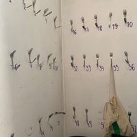  at Niebostan in Lodz