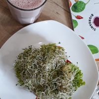 Avocado sandwich at BIOrganic Raw Cafe in Chisinau