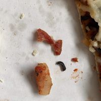 Actual bacon that was put on a pizza ordered off of the vegan menu. The restaurant never replied when I reached out to communicate the food tampering.  at Foxhole Tap and Pizzeria in Mchenry