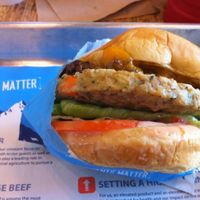 vegan burger at Elevation Burger in Rye Brook