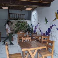 Inside of Tulsi at Tulsi Plant Based in Envigado