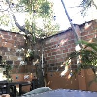 Outdoor seating area at Tulsi Plant Based in Envigado