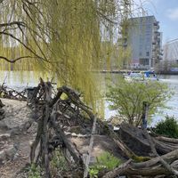 Sitting by the river  at The Green Market Berlin in Berlin