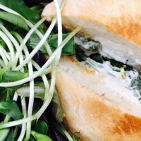 Eggplant panini with cashew ricotta and marinara. Delicious!  at Gratitude in Newport Beach