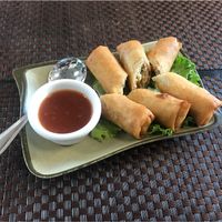 Vegan Spring rolls  at The Green Barn in Milpitas