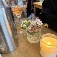 Vegan wine   at Urten in Copenhagen