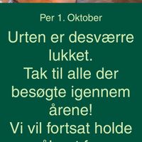   at Urten in Copenhagen