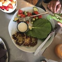 Falafel 🥙  at Dandelion Community Cafe in Orlando