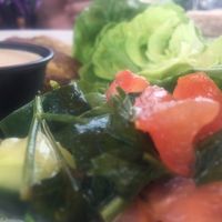 fresh salad at Dandelion Community Cafe in Orlando